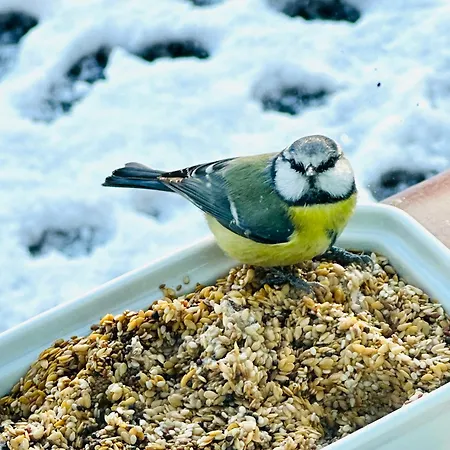 Ferme De La Monnaie بيت ضيافة 4*