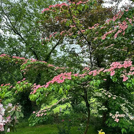 Ferme De La Monnaie Penzion