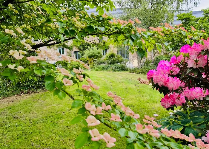 Ferme De La Monnaie بيت ضيافة 4*