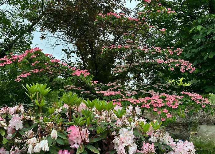 Ferme De La Monnaie بيت ضيافة