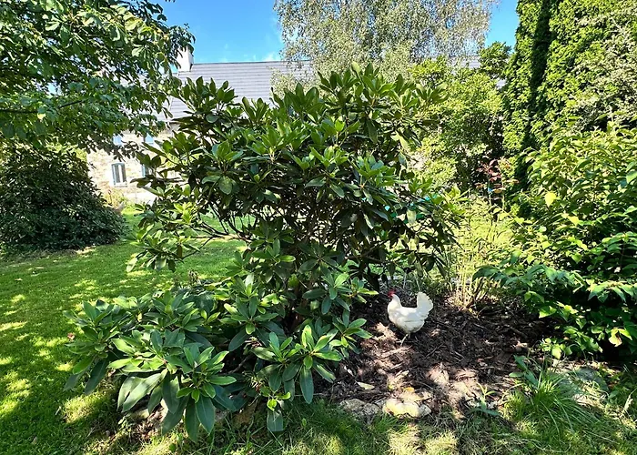 Ferme De La Monnaie Penzion Saint-Lo