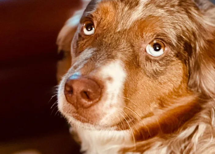 Ferme De La Monnaie Penzion