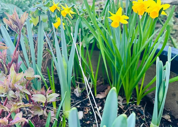 Ferme De La Monnaie 4*