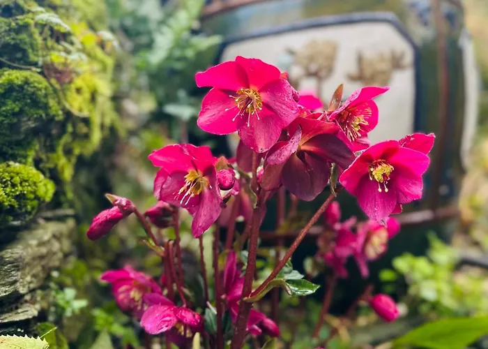 Penzion Ferme De La Monnaie 4*