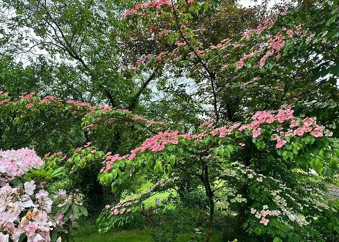 Ferme De La Monnaie Penzion