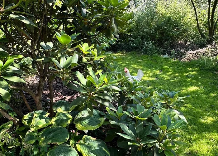 Penzion Ferme De La Monnaie 4*