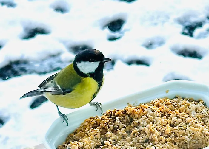 Ferme De La Monnaie 4* Saint-Lo